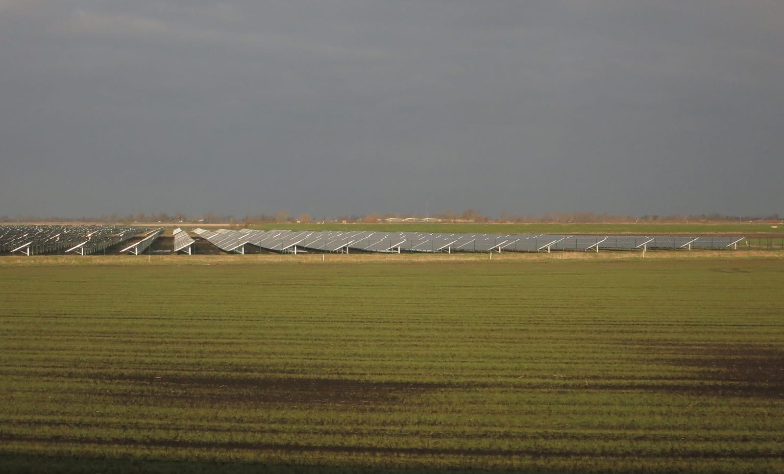 Uitgestrekte zonneweide met rijen zonnepanelen in een vlak agrarisch landschap naast weilanden en sloten