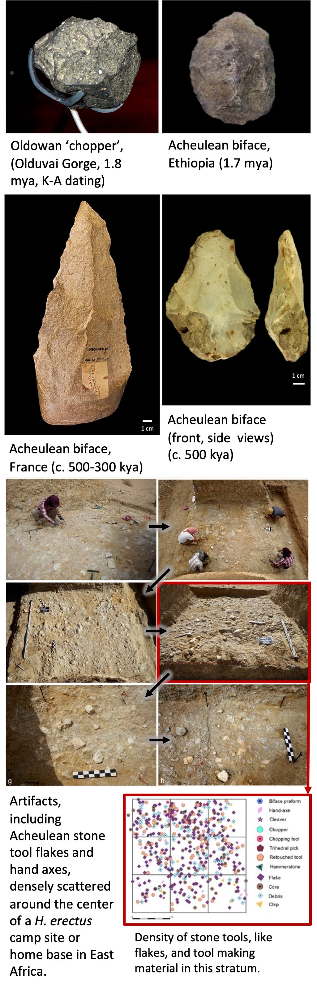 Composite image of Homo erectus stone tools including handaxes and bifaces from the Eastern Desert, Sudan, arranged in a vertical panel.