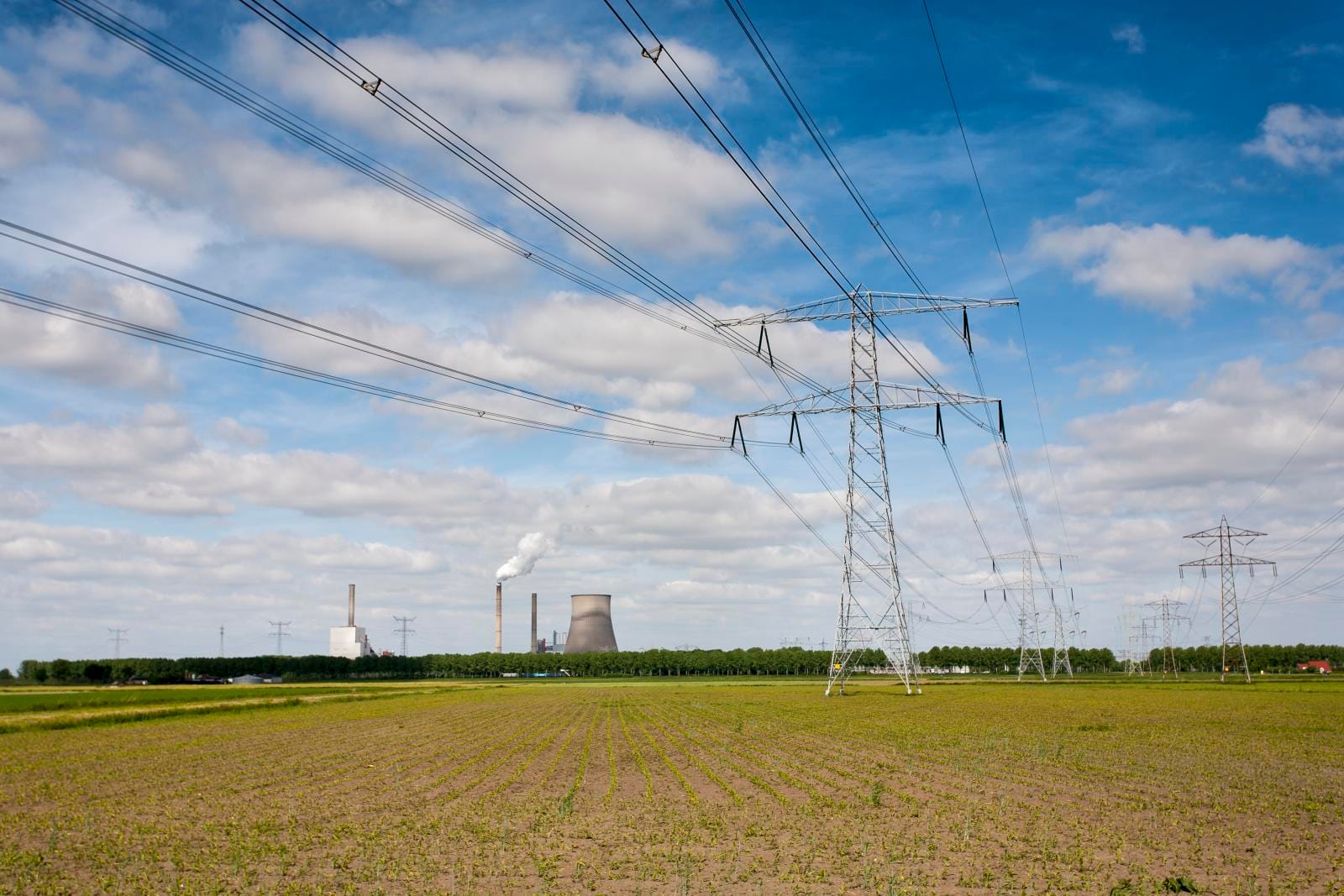 Meerdere rijen stalen hoogspanningsmasten in een moerasachtig landschap bij stemmig licht, met reflecties in het water